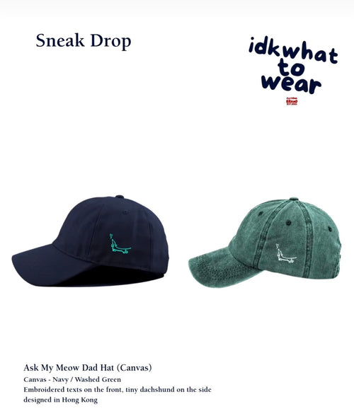 Ask My Meow Dad Cap