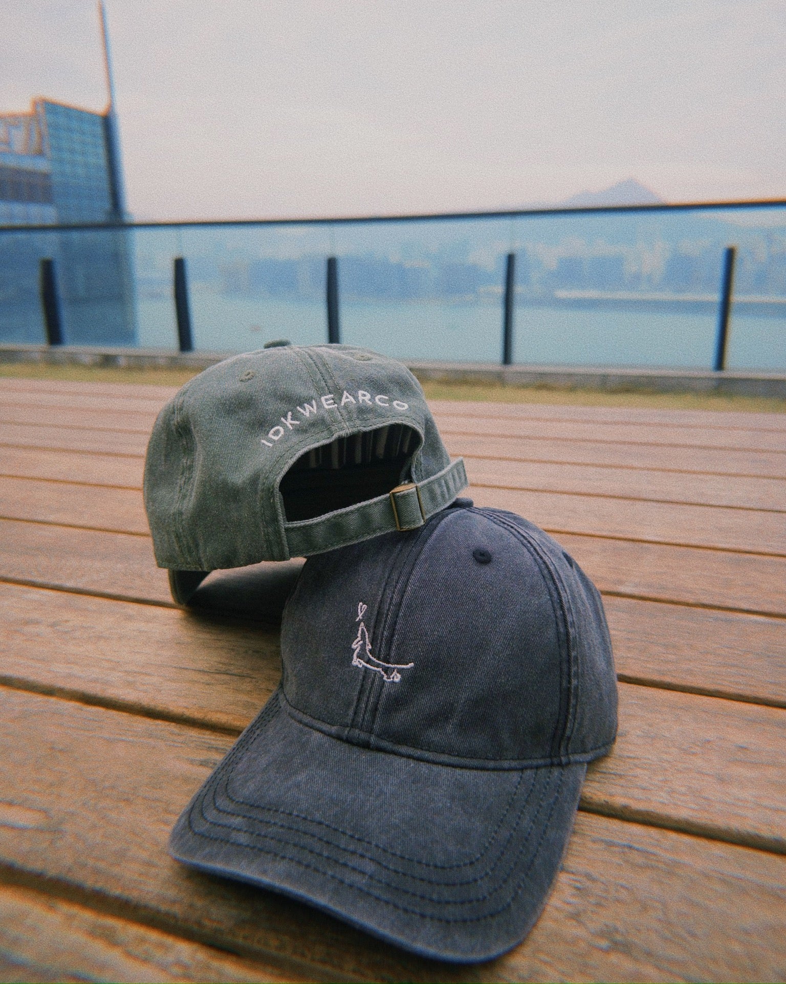 Skater Dachshund Washed Dad Cap