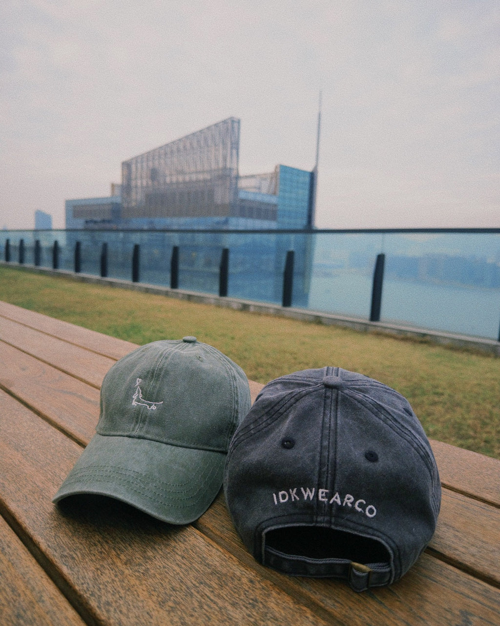 Skater Dachshund Washed Dad Cap