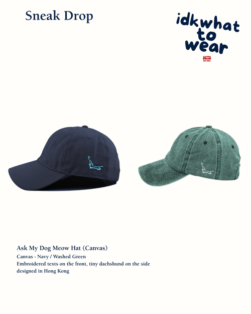 Ask My Meow Dad Cap