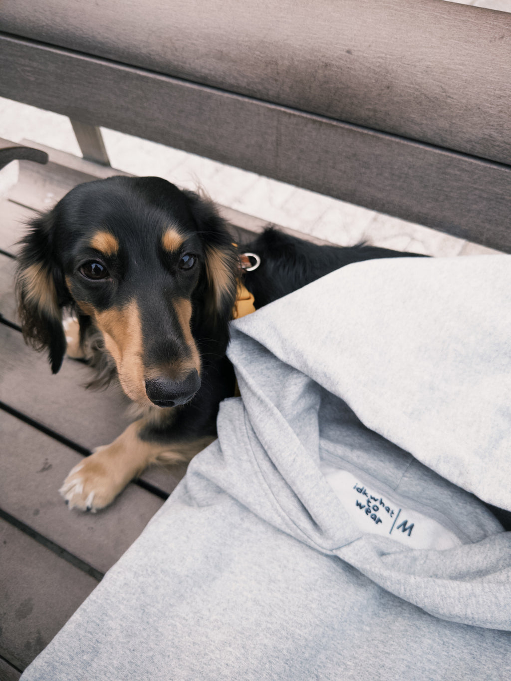 Classic Sausage Hoodie (Pre-Order Item)